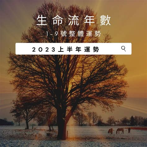 2023生命靈數流年|V生命靈數／ 2023上半年【整體運勢】分析&生命流年。